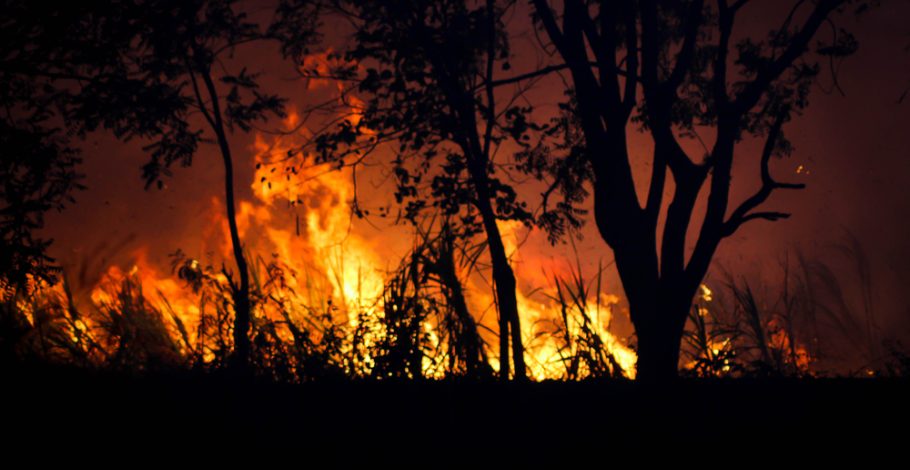 Fuel Load – Not Climate Change – Biggest Factor in Wildfire Management
